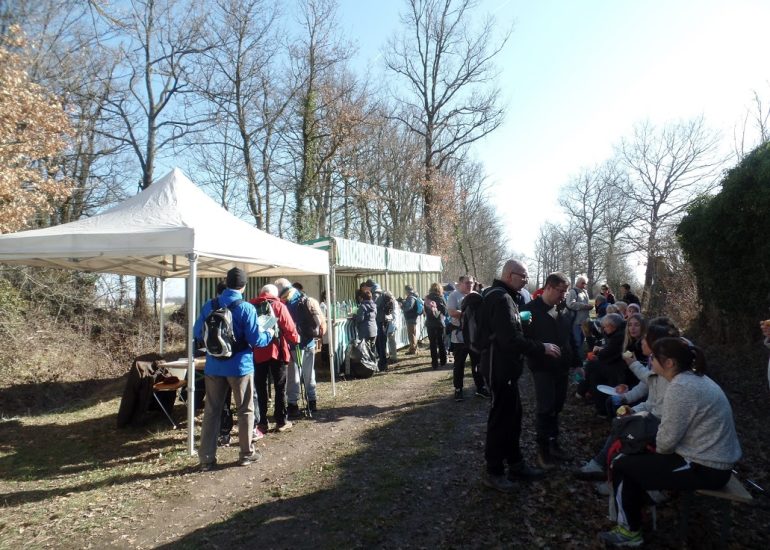 22eme marche de l'étang de Savigneux