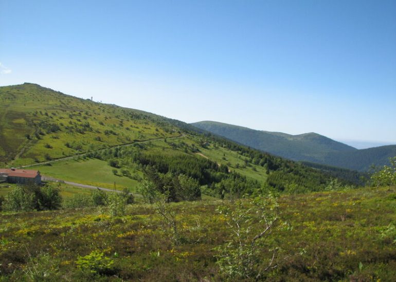 © Observatoire du col du Béal - Anne Massip