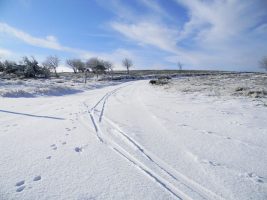 Chalet des Gentianes - Location de Matériel, Ski de fond, de rando, raquettes