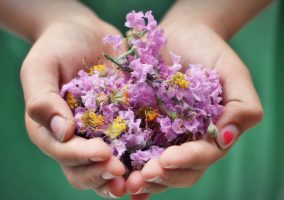 Découvrir l'aromathérapie - atelier enfant