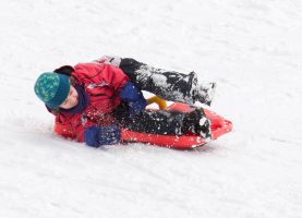 Espace de luge