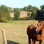 © Sentier les trois chapelles - OT FOREZ EST - CP