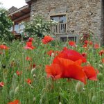 Visite d'une ferme laitière