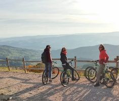 Chalet des Gentianes - Location de VTT