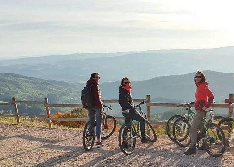 © Location VTT - Chalet des Gentianes - Chalet des Gentianes