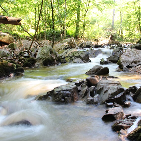 Rivière La Charpassonne à Salt-en-Donzy