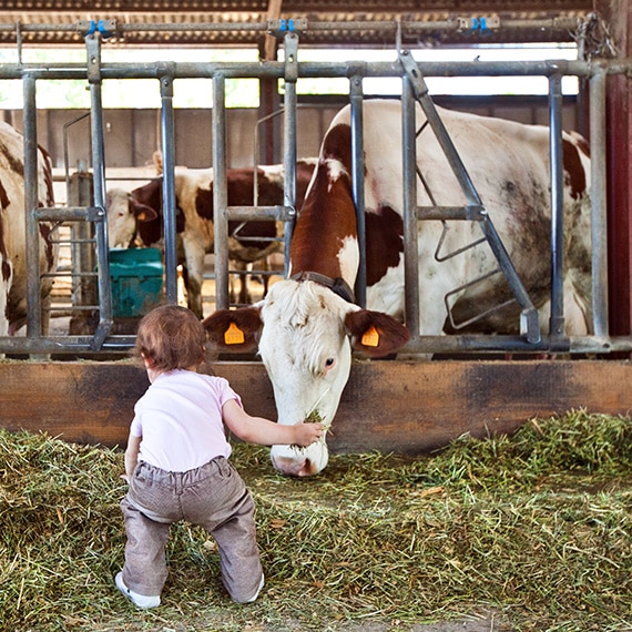 De Ferme en ferme - Dans le Forez