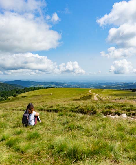 Vos vacances dans la Loire : une immersion en pleine nature