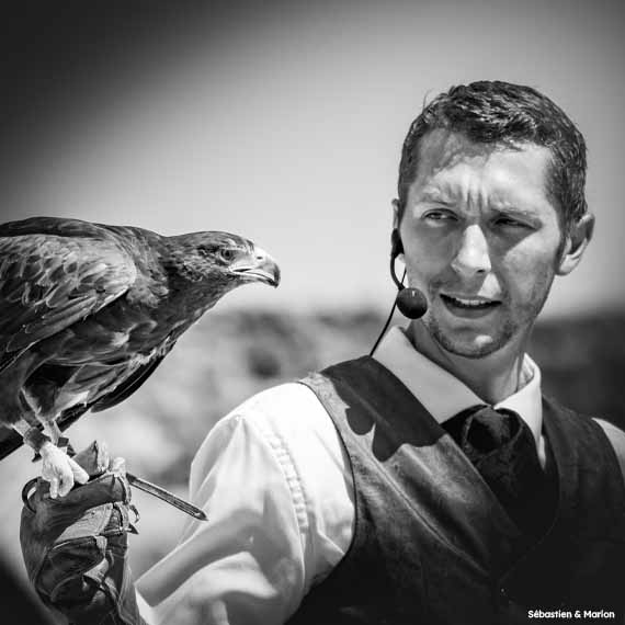 Spectacle des rapaces à la Volerie du Forez, Marcilly le Châtel