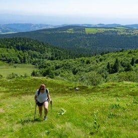 Top 10, les Hautes Chaumes du Forez, randonnée à Chalmazel