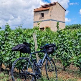 Vélo dans les vignes à Champdieu