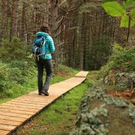 Le sentier du Marais à la Chapelle en Lafaye1