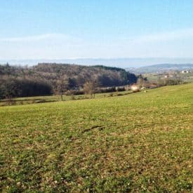 Sentier le Panorma à Panissières