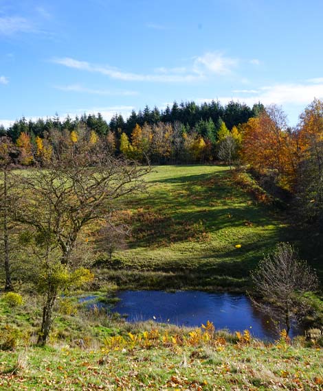 Paysage d'automne à Noirétable